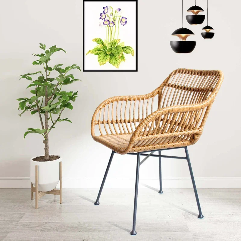เก้าอี้ทานอาหารสไตล์นอร์ดิกสำห - Outdoor Furniture Kitchener บทวิจารณ์และราคา